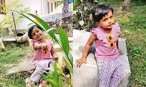 ഐറിൻ ലോറ/ ചിത്രം ഇൻസ്റ്റാ​ഗ്രാം