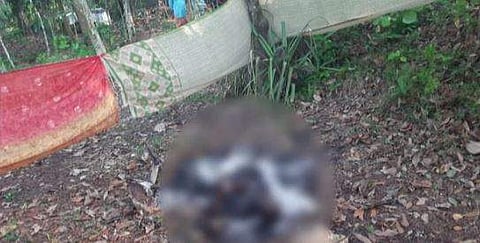 സ്വയം ചിതയൊരുക്കിയ ശേഷം ഗൃഹനാഥന്‍ ആത്മഹത്യ ചെയ്ത നിലയില്‍/ ടെലിവിഷന്‍ ചിത്രം
