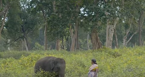 ദി എലിഫന്റ് വിസ്‌പെറേഴ്‌സിലെ ഭാ​ഗം, സ്ക്രീൻഷോട്ട്
