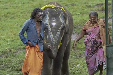 ഡോക്യുമെന്ററിയില്‍ നിന്ന്‌