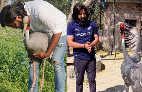 ചിത്രം: ട്വിറ്റര്‍