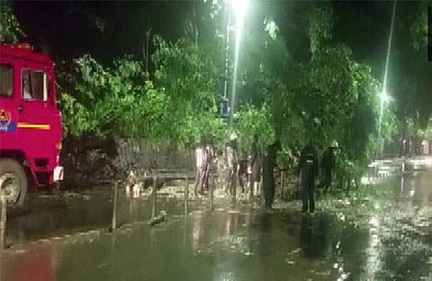 കനത്ത മഴയില്‍ മരം കടപുഴകി വീണ നിലയില്‍/ എഎന്‍ഐ