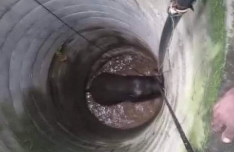 ഫയല്‍ ചിത്രം