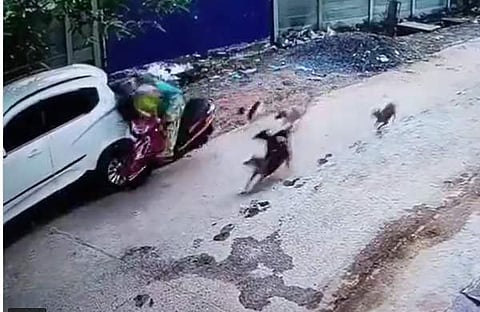 കാറിന്റെ പിന്നില്‍ ഇടിച്ച് സ്‌കൂട്ടറില്‍ ഉണ്ടായിരുന്ന കുട്ടി അടക്കം മൂന്ന് പേര്‍ തെറിച്ചുവീഴുന്ന ദൃശ്യം