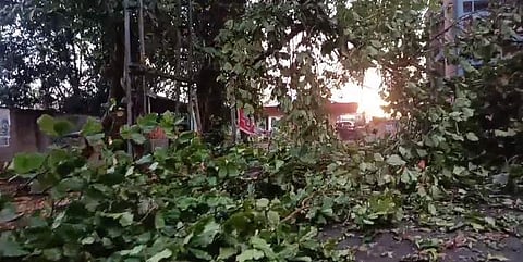 വീഡിയോ സ്‌ക്രീന്‍ഷോട്ട്