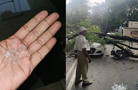 ആലിപ്പഴ വർഷം, മരം വീണു ​ഗതാ​ഗത തടസം/ ട്വിറ്റർ
