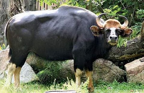 ഫയല്‍ ചിത്രം