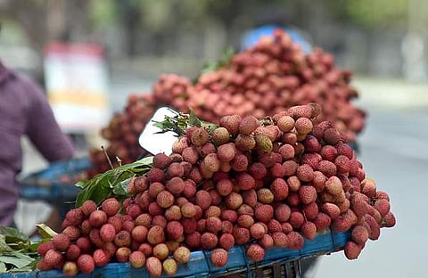 ലിച്ചി പഴം, ഫയല്‍ ഫോട്ടോ/ എക്‌സ്പ്രസ്