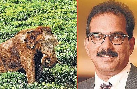 അരിക്കൊമ്പന്‍,സാബു എം ജേക്കബ്