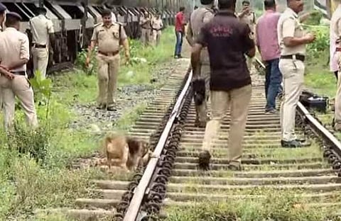 തീവയ്പുണ്ടായ സ്ഥലത്ത് ഡോഗ് സ്‌ക്വാഡ് പരിശോധിക്കുന്നു