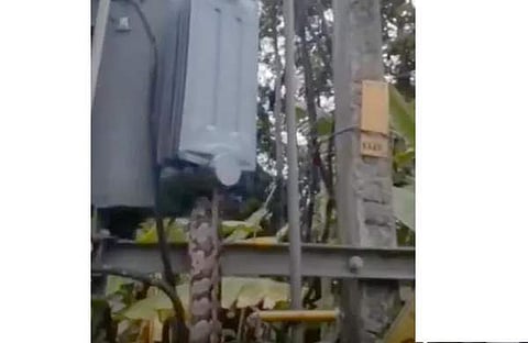 ട്രാന്‍സ്‌ഫോമറില്‍ കയറിയ പെരുമ്പാമ്പ് വൈദ്യുതാഘാതമേറ്റ് ചത്തനിലയില്‍