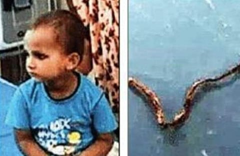 ആയുഷ്, ചത്ത പാമ്പ്/ ഐഎഎന്‍സ്‌