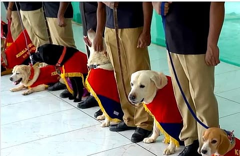 ഫയല്‍ ചിത്രം