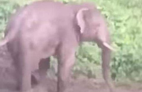 പിടി 7 /ഫയല്‍ ചിത്രം