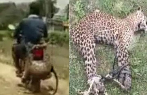 വീഡിയോ സ്‌ക്രീന്‍ഷോട്ട്