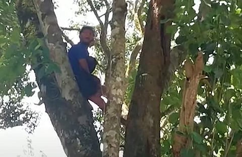 വനംവകുപ്പ് ഉദ്യോ​ഗസ്ഥർക്കെതിരെ നടപടിയെടുക്കണമെന്നാവശ്യപ്പെട്ട് സരുൺ സജിയുടെ പ്രതിഷേധം, ഫയൽ