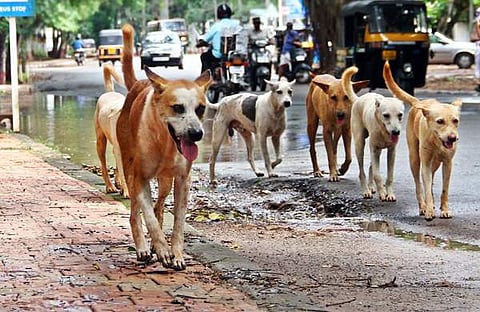എക്സ്പ്രസ് ചിത്രം/ ഫയൽ