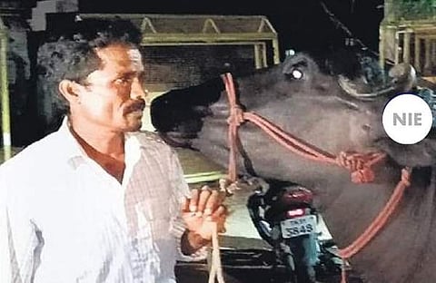 എരുമയും ഉടമയും പൊലീസ് സ്റ്റേഷനില്‍