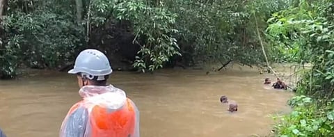 വീഡിയോ സ്‌ക്രീന്‍ഷോട്ട്