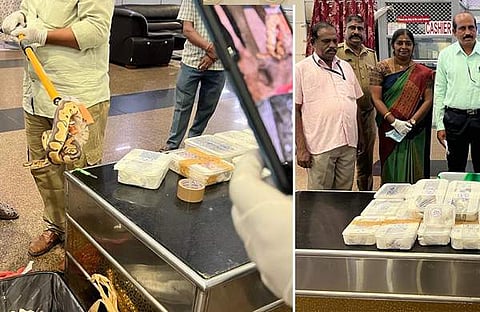 വിമാനത്താവളത്തില്‍ വച്ച് പിടികൂടിയ പാമ്പുകള്‍