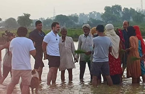 രാഹുല്‍ ഗാന്ധി/ ട്വിറ്റര്‍
