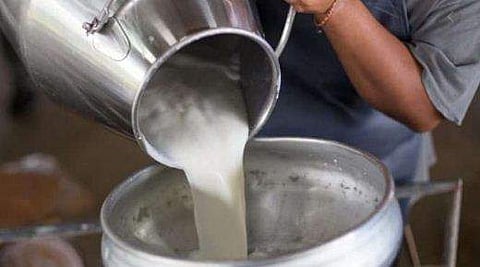 പാൽ പരിശോധന/ ഫയല്‍ ചിത്രം