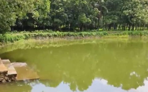 അപകടം നടന്ന കുളം/വീഡിയോ സ്‌ക്രീന്‍ഷോട്ട്
