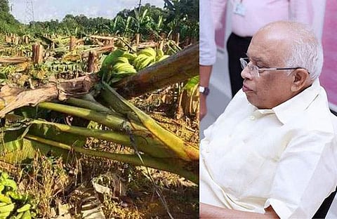 ഉദ്യോഗസ്ഥര്‍ വെട്ടി നശിപ്പിച്ച വാഴത്തോട്ട, മന്ത്രി കെ കൃഷ്ണന്‍ കുട്ടി/ഫെയ്‌സ്ബുക്ക്‌