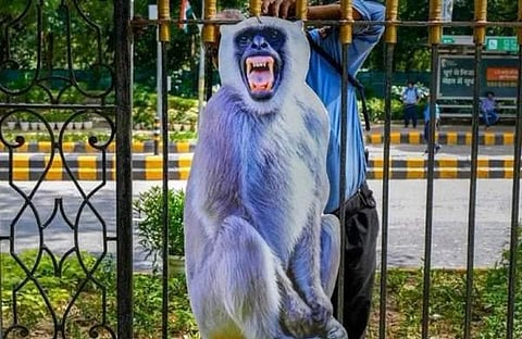 ഡൽഹി ന​ഗരത്തിൽ സ്ഥാപിച്ച ലങ്കൂർ കുരങ്ങിന്റെ കട്ടൗട്ട്