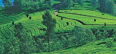 ഫയല്‍ ചിത്രം