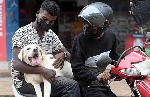 ചിത്രം: ​ഗോകുൽ ഇ