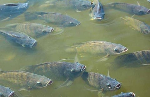 ഫയല്‍ ചിത്രം/ എക്സ്