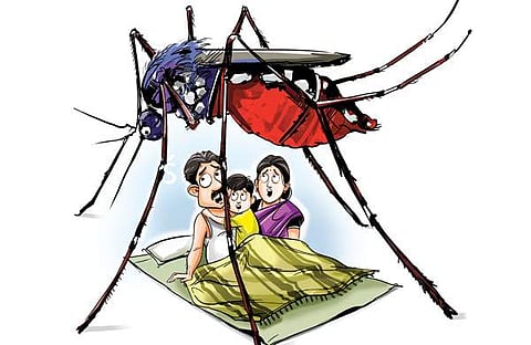 എറണാകുളം, തിരുവനന്തപുരം, പാലക്കാട്, കൊല്ലം ജില്ലകളില്‍ ഡെങ്കി കേസുകള്‍ വര്‍ധിക്കുന്നു