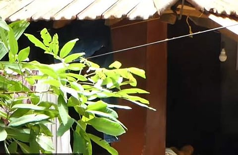 പട്ടാമ്പിയില്‍ കുടുംബാംഗങ്ങളെ കുത്തിപ്പരിക്കേല്‍പ്പിച്ച സംഭവം നടന്ന വീട് , സ്‌ക്രീന്‍ഷോട്ട്‌