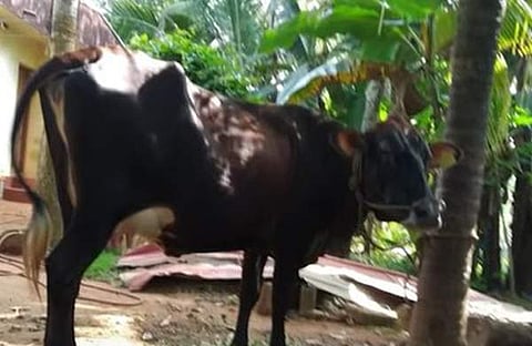 ഫോട്ടോ: ടെലിവിഷന്‍ സ്‌ക്രീന്‍ഷോട്ട്‌