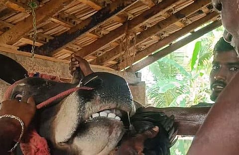 ചിത്രം /ഇന്‍സ്റ്റഗ്രാം