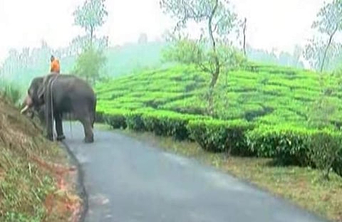 കോഴിക്കോട്- ​ഗൂഡല്ലൂർ ദേശീയപാത, സ്ക്രീൻഷോട്ട്