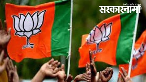 BJP Flags