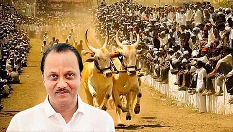 Ajit Pawar&nbsp;