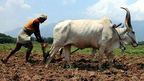 Farmer