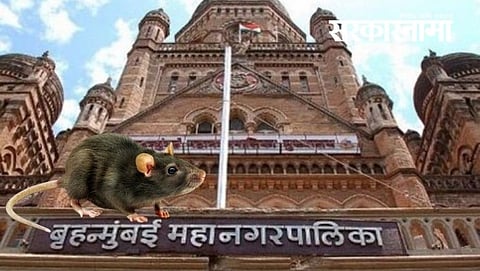 
Mumbai Municipal Corporation