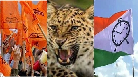 shivsena, ncp