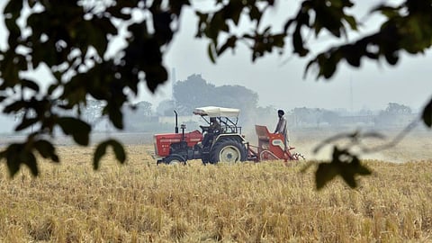 Farmer
