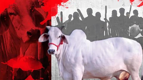 mob lynching | madhya pradesh