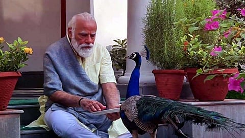 PM Narendra Modi Latest Marathi News