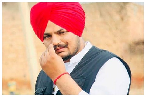 Sidhu Moose Wala Case News Updates, AAP News Updates, Punjab News, Bhagwant Mann News