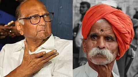 NCP Chief Sharad Pawar Latest News, Sambhaji Bhide News, Koregaon Bhima case Latest Marathi News 