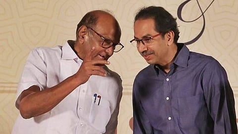 Sharad Pawar Latest Marathi News, Uddhav Thackeray Latest Marathi News