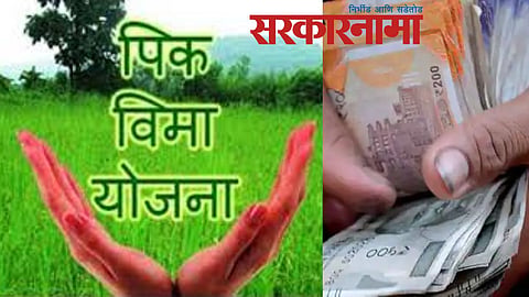 crop insurance 
