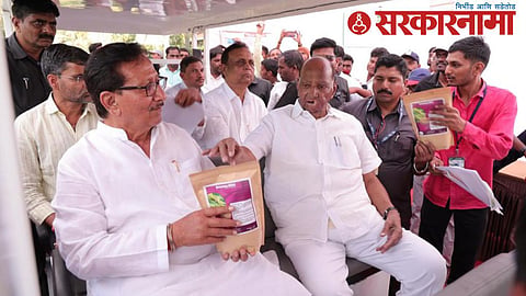 Vijaysinh Mohite Patil -Sharad Pawar 